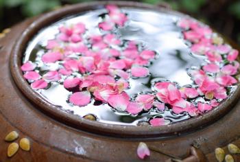 Dem Karneval entfliehen