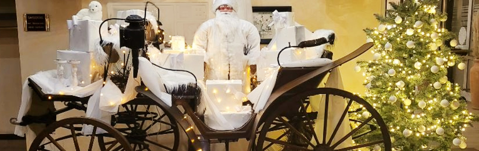 Headerbild der Seite – Hero Bereich